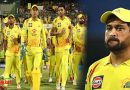 IPL 2020: MS धोनी की CSK कर सकती है प्लेऑफ में क्वालीफाई, जानिए कैसे