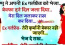 फनी जोक्स :  एक्स गर्लफ्रेंड से  पप्पू ने कहा – बेवफा तूने दिल जला दिया… दिल जलकर राख बन गया