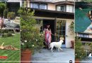 मल्लिका शेरावत का Los Angeles वाला घर है बेहद खूबसूरत, देखिये गार्डन और पूलसाइड की तस्वीरें