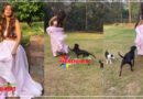 Video: निया शर्मा के लिए भारी पड़ गया ये लहंगा, यूं कुत्तों से जान बचाती नजर आईं अभिनेत्री