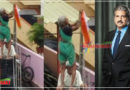बुजुर्ग महिला ने छत पर लगाया तिरंगा, साथ देते नजर आया पति, जज्बा देख आनंद महिंद्रा ने की तारीफ